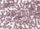 Бисер Япония MIYUKI Seed Beads 15/0 5г 2027 дасти лиловый непрозрачный матовый